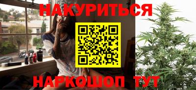индика Партизанск