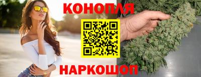 индика Партизанск